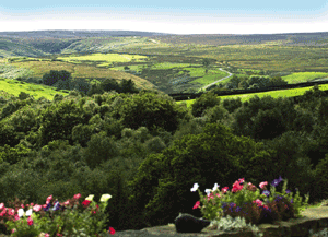 View from Bottoms Farm