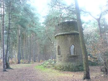 Black Hills Forest, Bradford, West Yorkshire