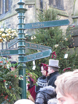 Scroggling the Holly in Haworth