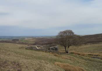 Top Withens, near Haworth