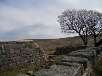 Top Withens, near Haworth
