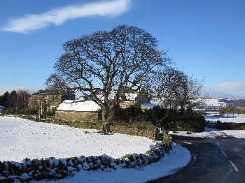 Wilsden in winter