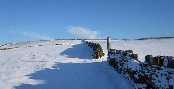 Bronte Country in winter