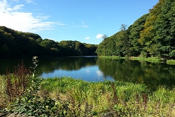 Chellow Dene, Bradford, West Yorkshire