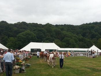 Bingley Show