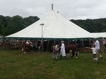 Bingley Show