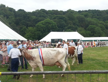 Bingley Show