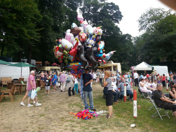 Bingley Show