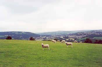 View of Bingley, taken from Northcliffe Woods just above the village of Cottingley