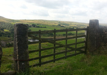 View of Bronte Country
