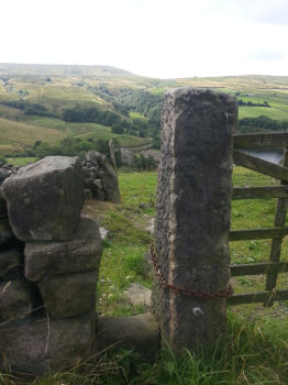 View of Bronte Country