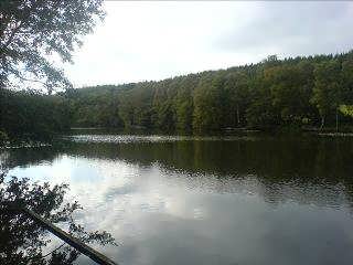 The Coppice Pond