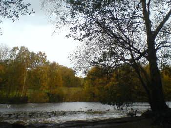 The Coppice Pond, St Ives, Harden