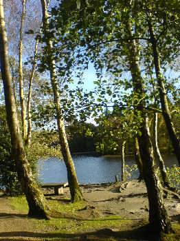 The Coppice Pond, St Ives, Harden