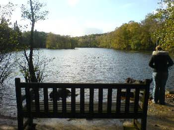 The Coppice Pond, St Ives, Harden