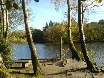 The Coppice Pond, St Ives, Harden