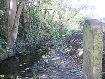 Cottingley Beck