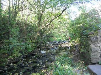 Cottingley Beck