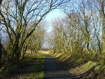 The Great Northern Railway Trail at Cullingworth