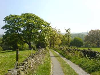 Goit Stock Woods, near Harden