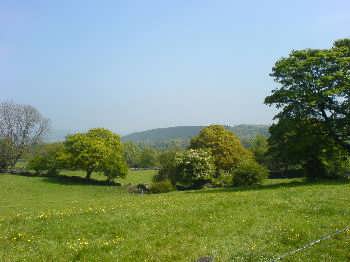 Goit Stock Woods, near Harden