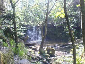 Goit Stock Woods, near Harden