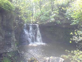 Goit Stock Woods, near Harden