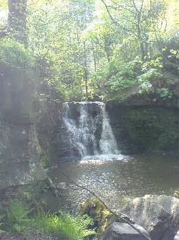 Goit Stock Woods, near Harden