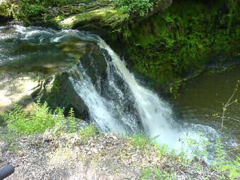 Goit Stock Woods, near Harden