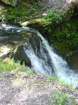 Goit Stock Woods, near Harden