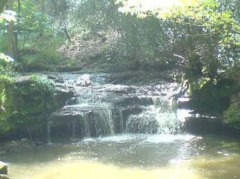 Goit Stock Woods, near Harden