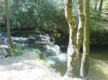 Goit Stock Woods, near Harden