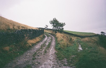 Track to High Sunderland