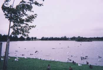 Keighley Tarn