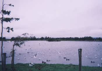 Keighley Tarn