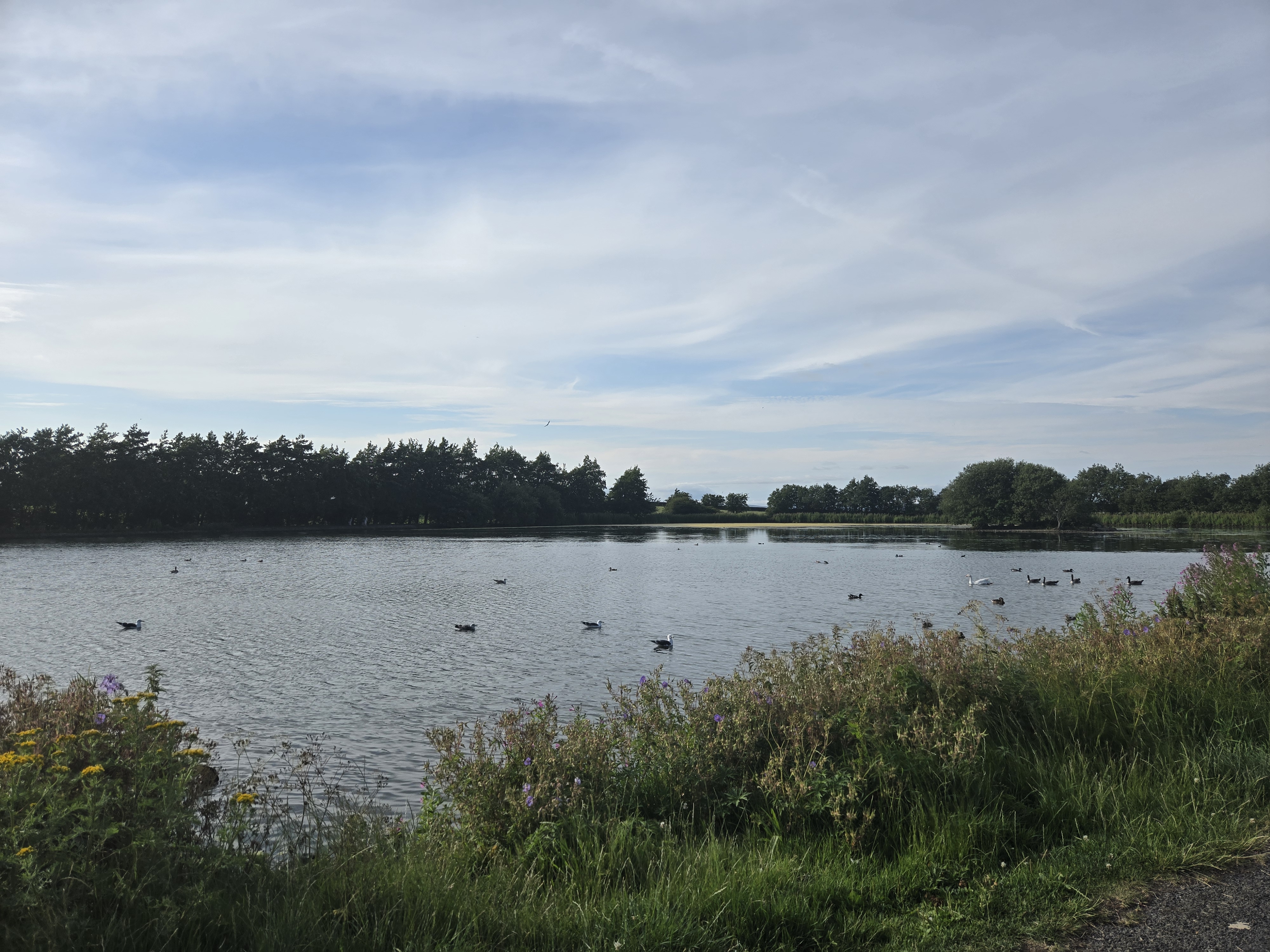 Keighley Tarn