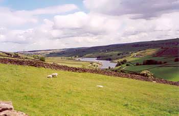 Moors near Haworth, Bronte Country