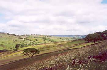 Moors near Haworth, Bronte Country