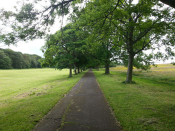Northcliffe Park