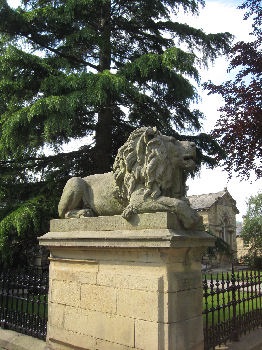 Lion, Saltaire