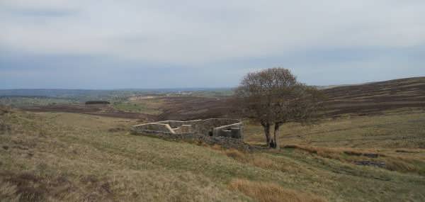 Top Withens, near Haworth