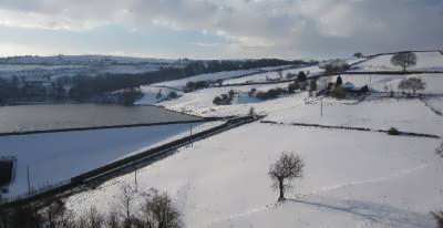 Bronte Country in winter