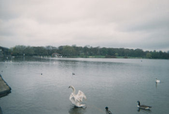 Yeadon Tarn